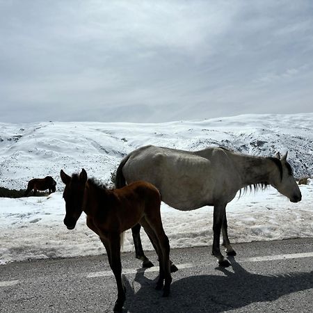 Апартаменты Biznaga Nevada Гранада Экстерьер фото