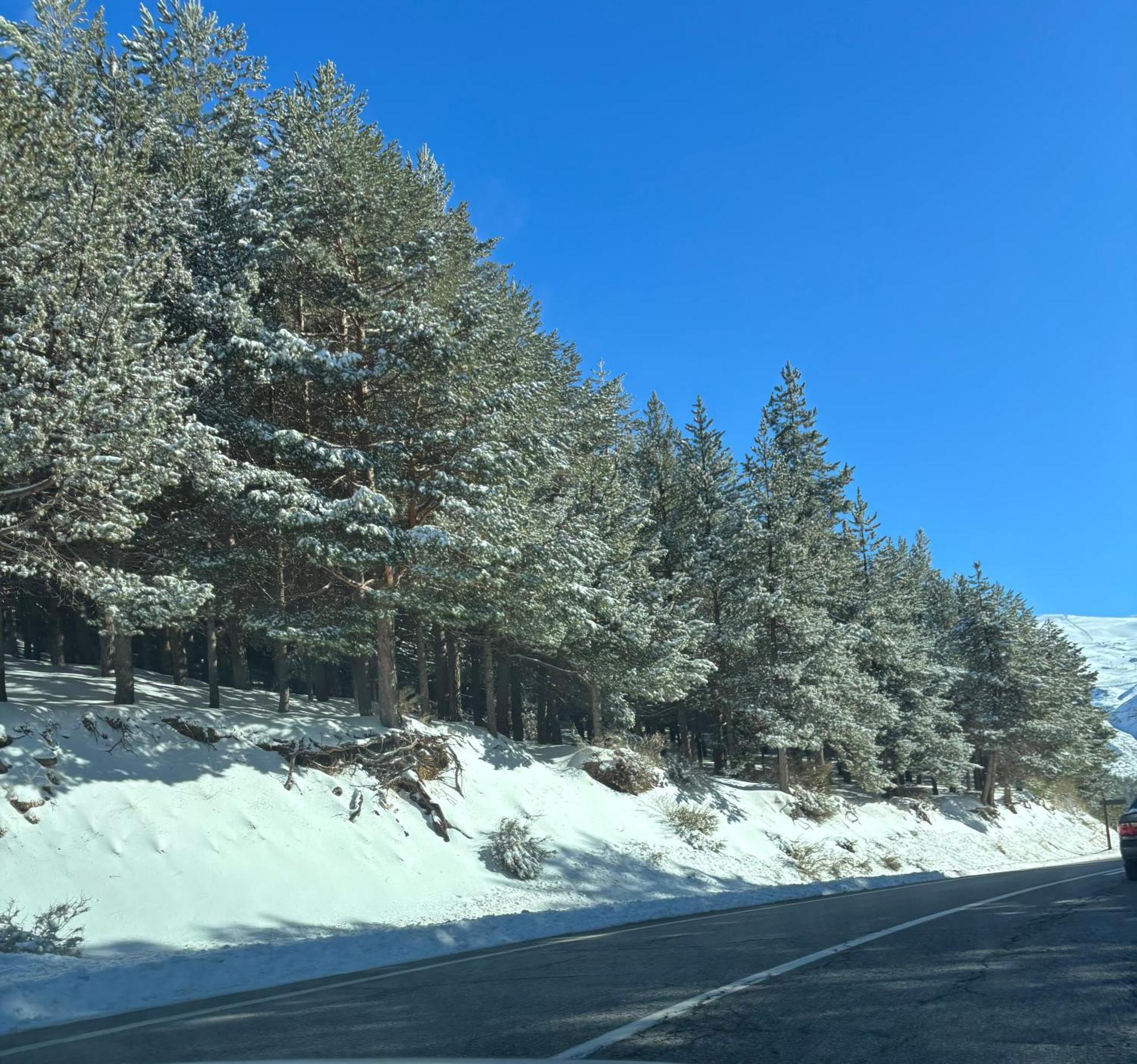 Апартаменты Biznaga Nevada Гранада Экстерьер фото